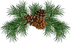 Pine cone PNG-13348